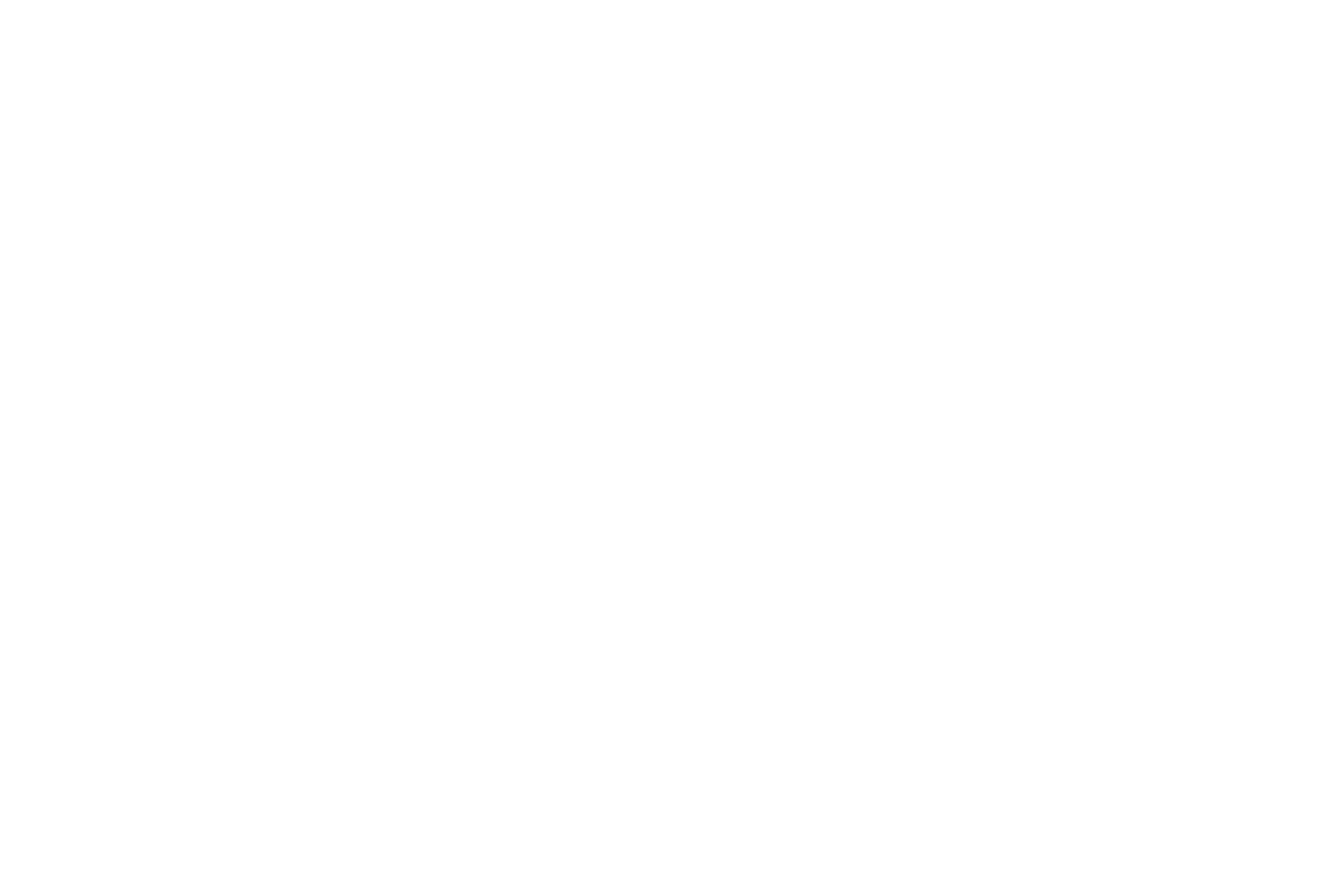 JW Marriott Logo White